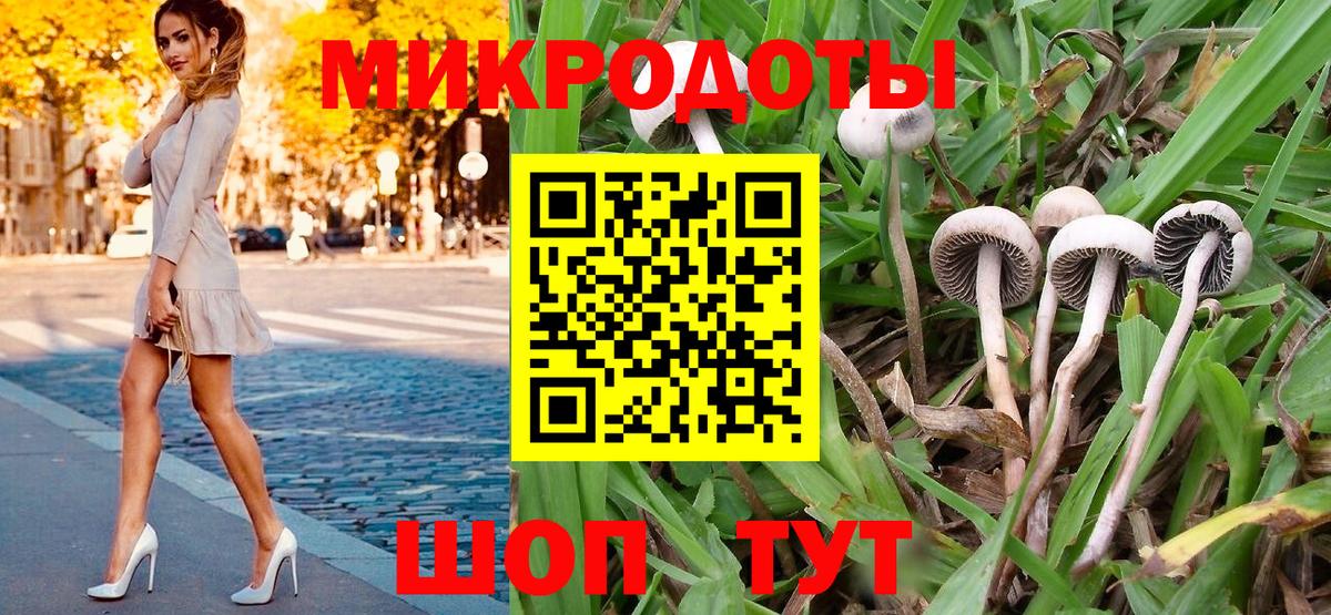 Галлюциногенные грибы ЛСД Холмск