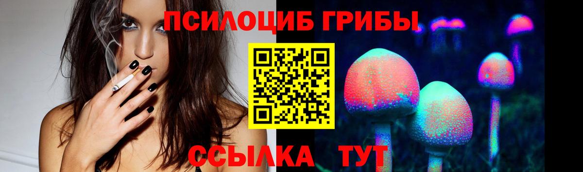 Холмск  Галлюциногенные грибы Psilocybe  Вход с VPN 